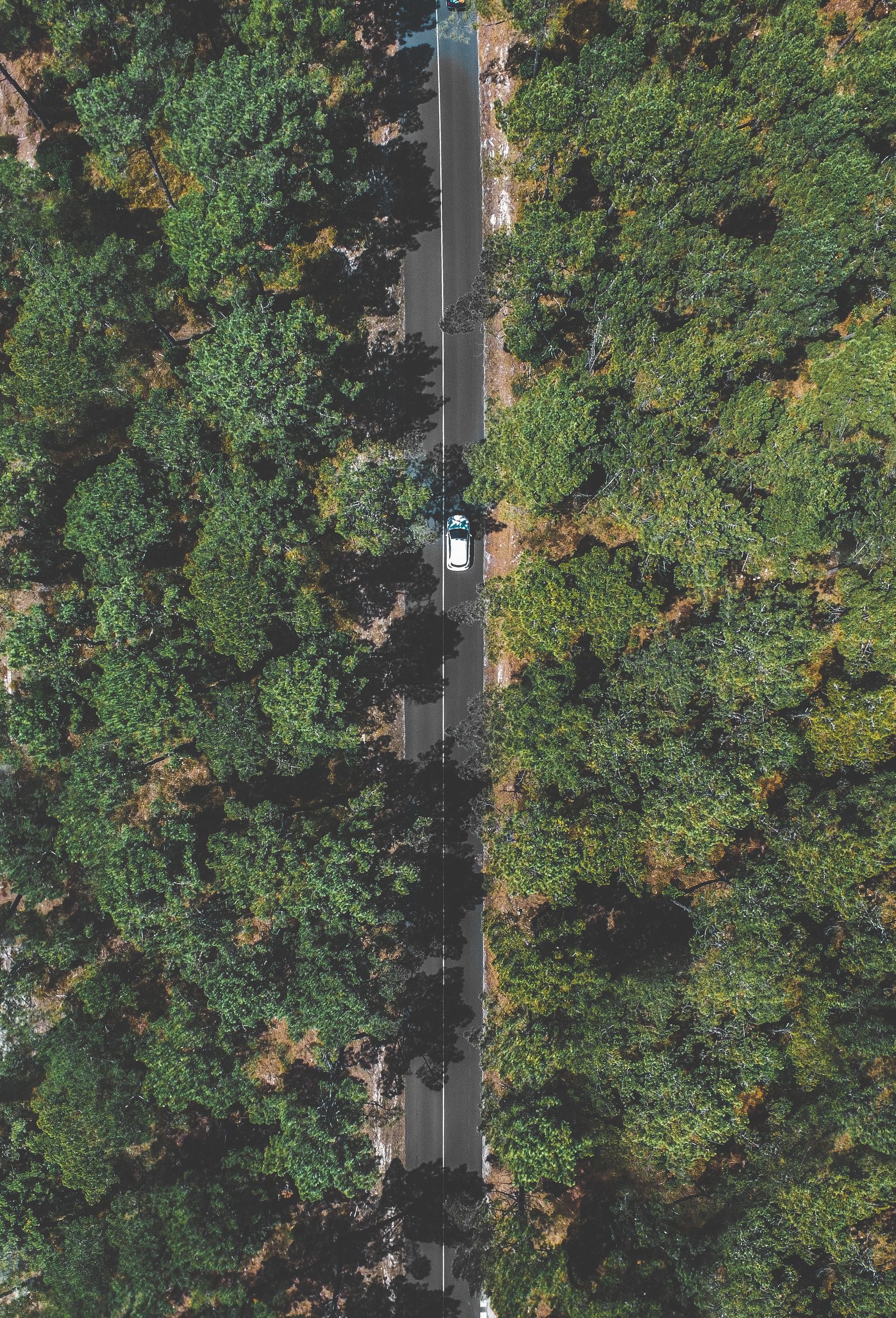 Vista laterale di una berlina di rappresentanza su una strada lavica